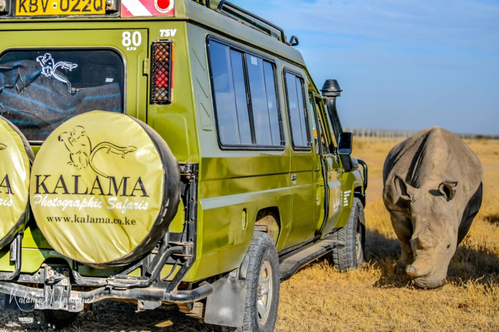 Kalama S African Safaris Kalama Safaris