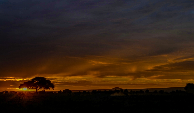 Amboseli Sunset