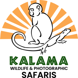 Kalama Safaris Logo
