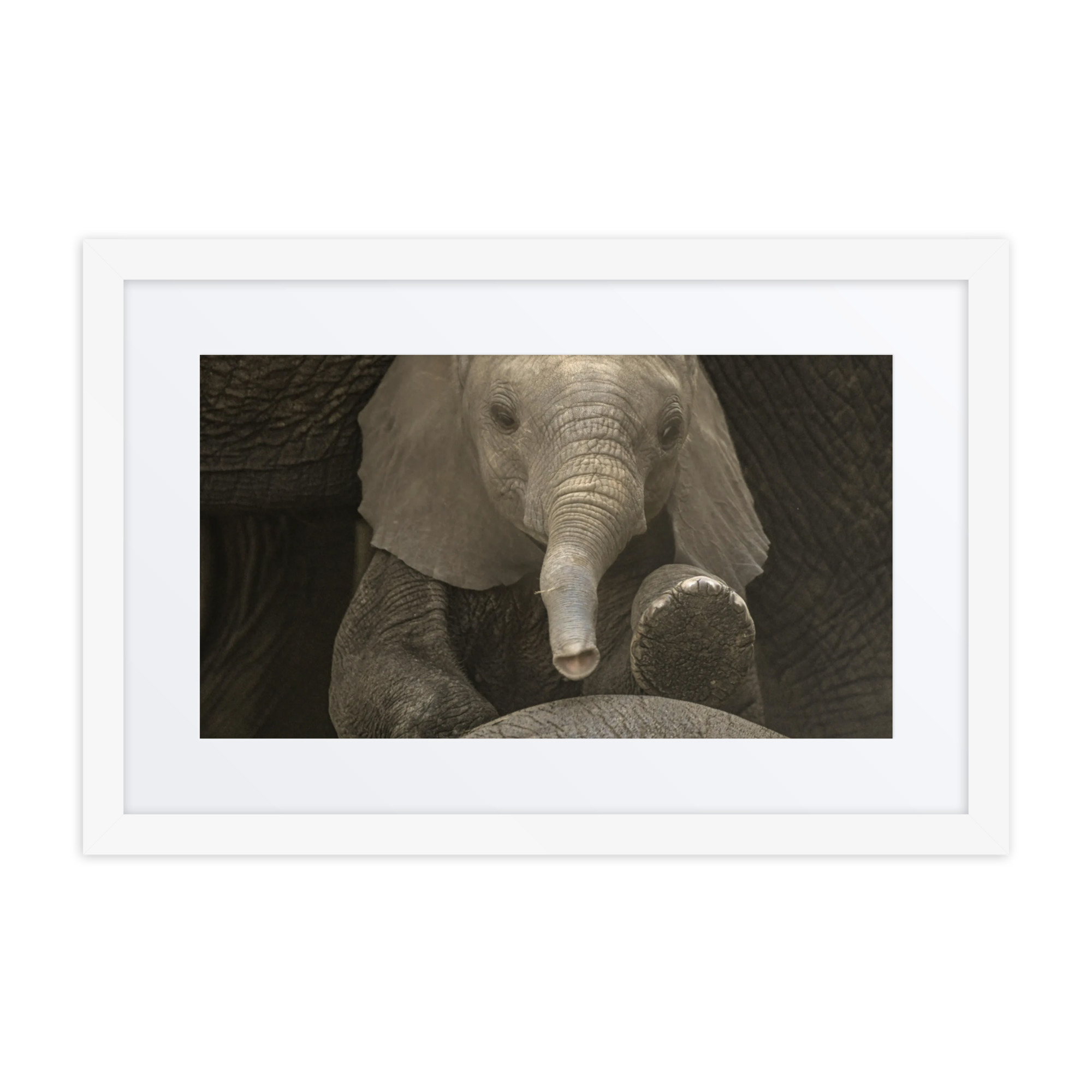 Framed poster - Image 2