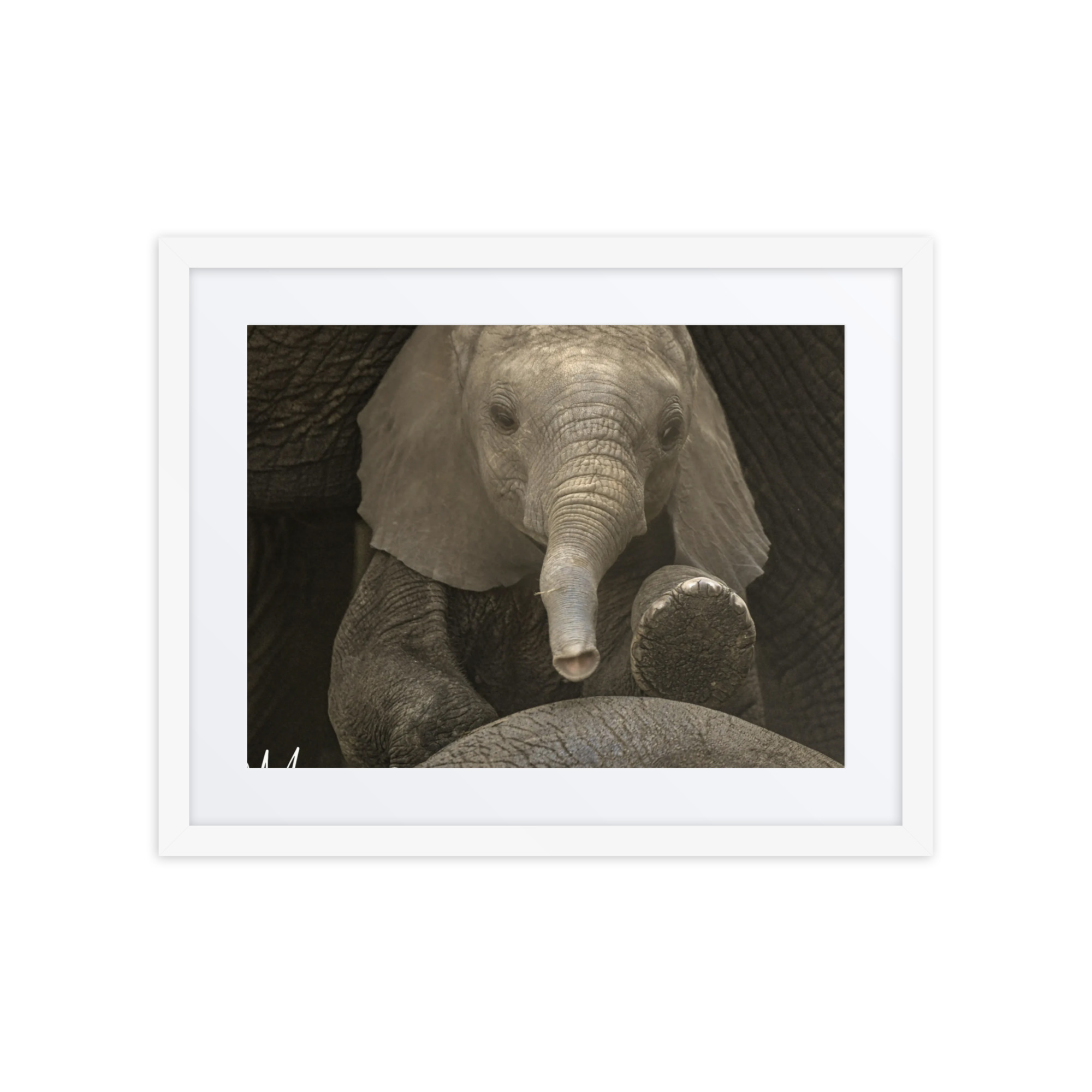 Framed poster - Image 3
