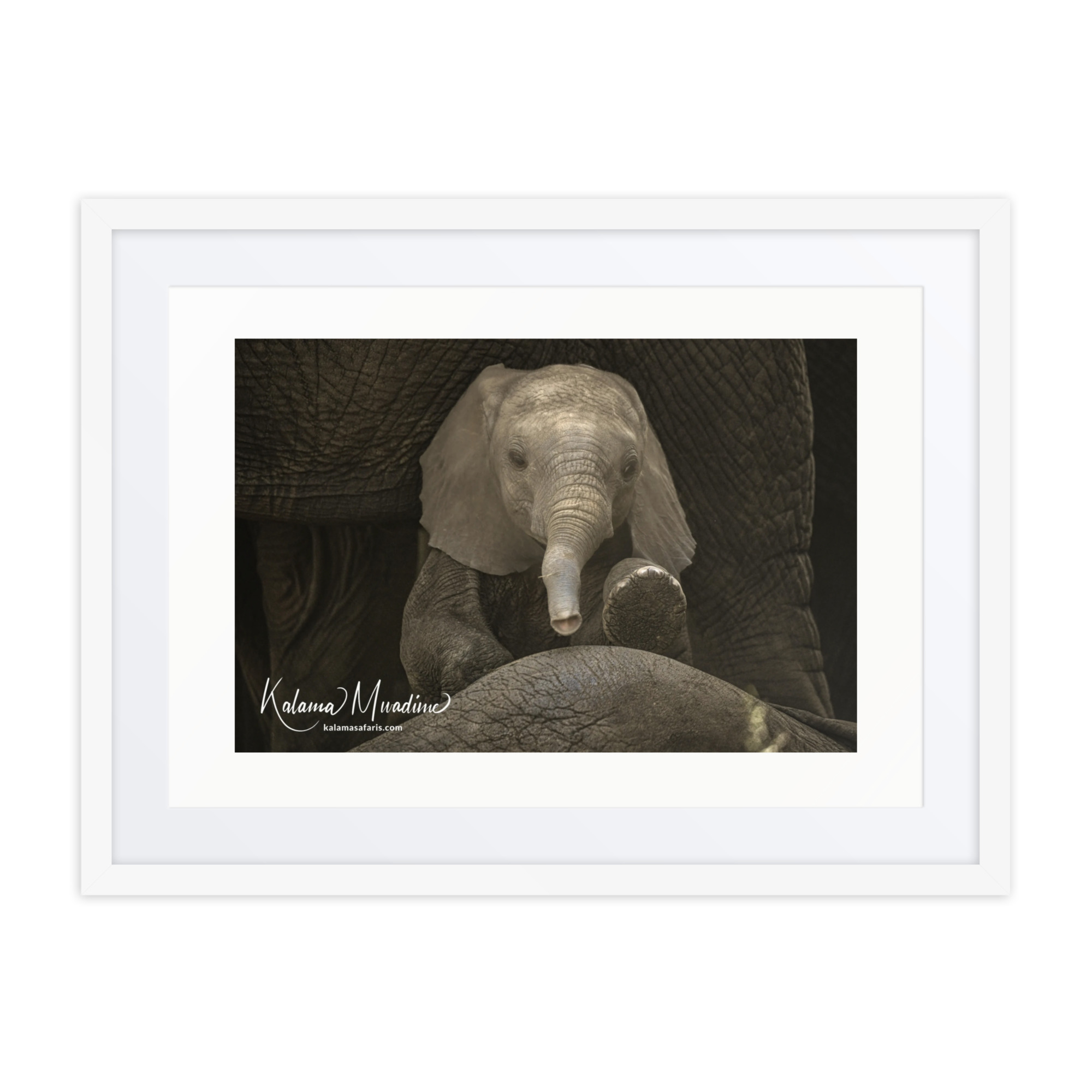 Framed poster - Image 4