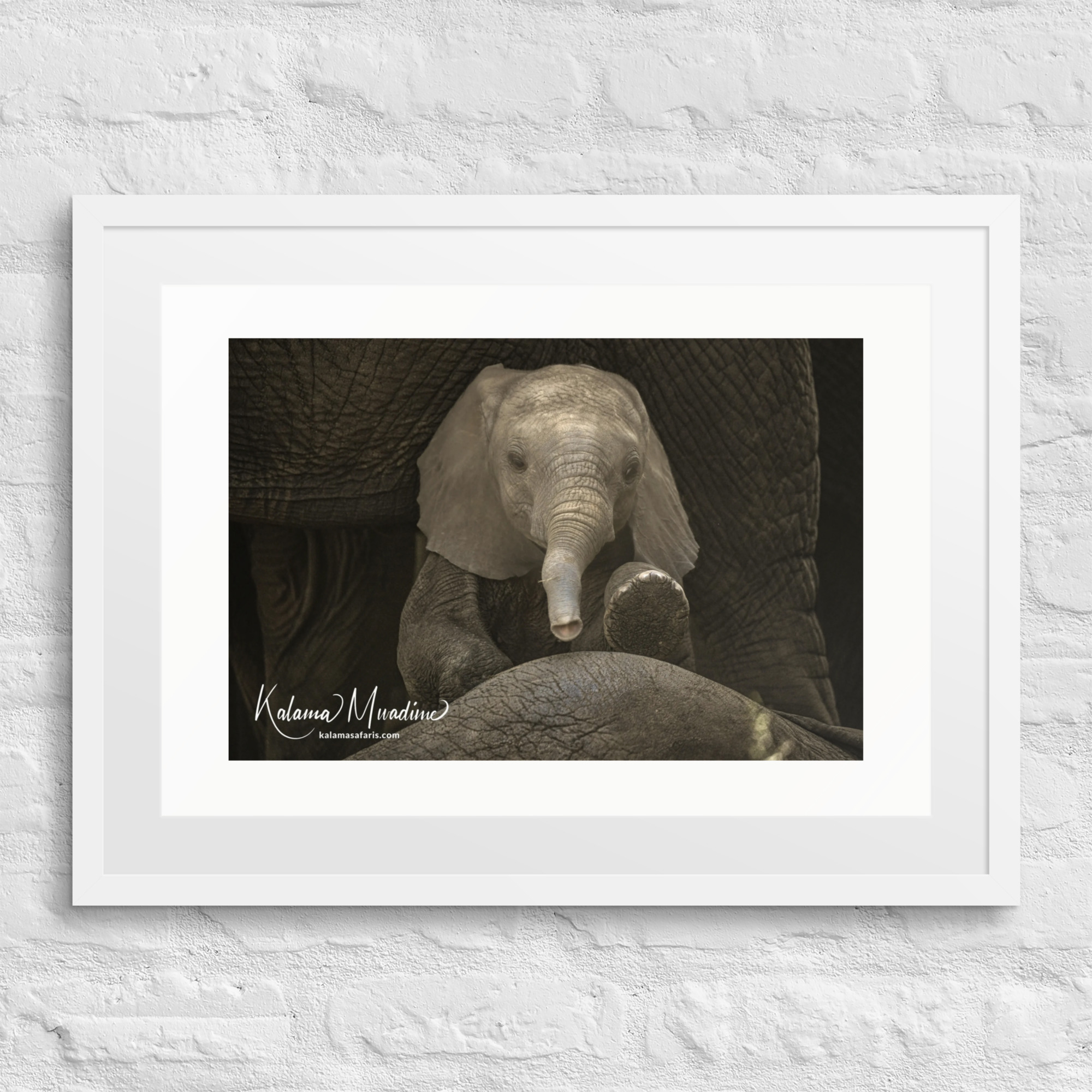 Framed poster - Image 6