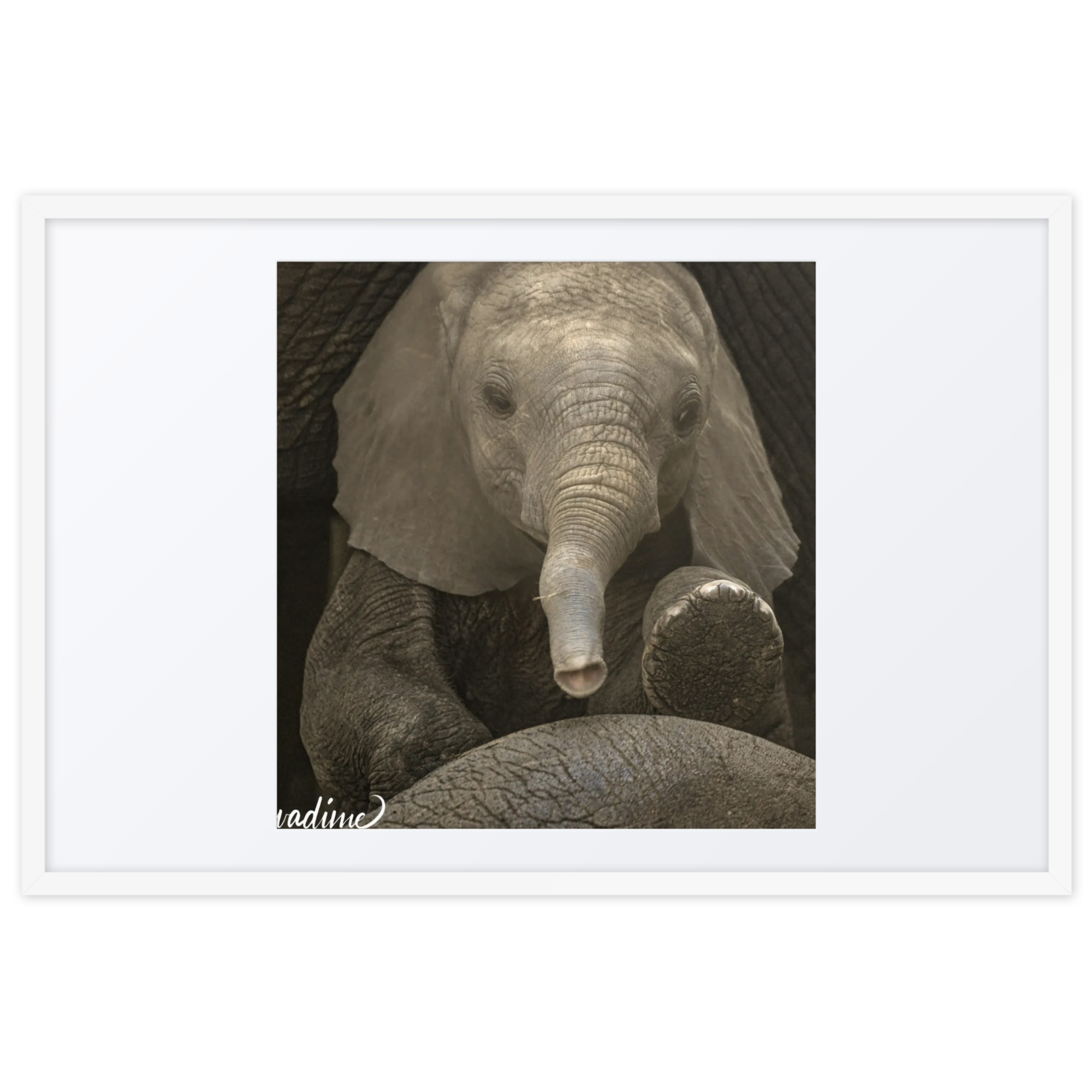 Framed poster - Image 5