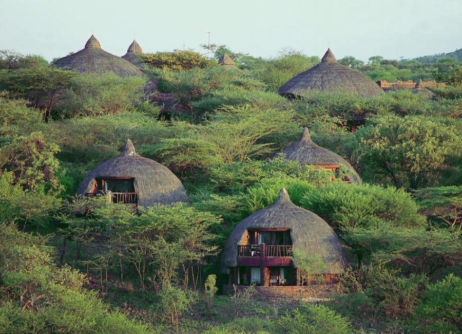 1 Serengeti Serena Safari Lodge