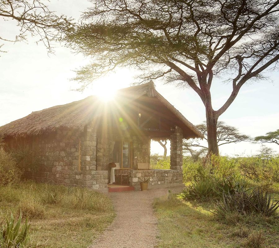 7992571-cottage-at-ndutu-safari-lodge