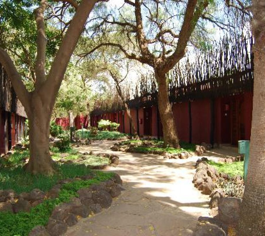 8 Amboseli Serena Safari Lodge
