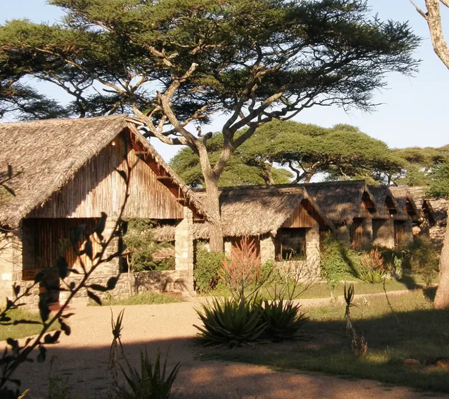 Ndutu-Safari-Lodge