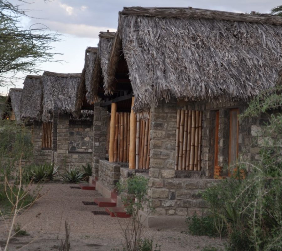 Ndutu-Safari-Lodge