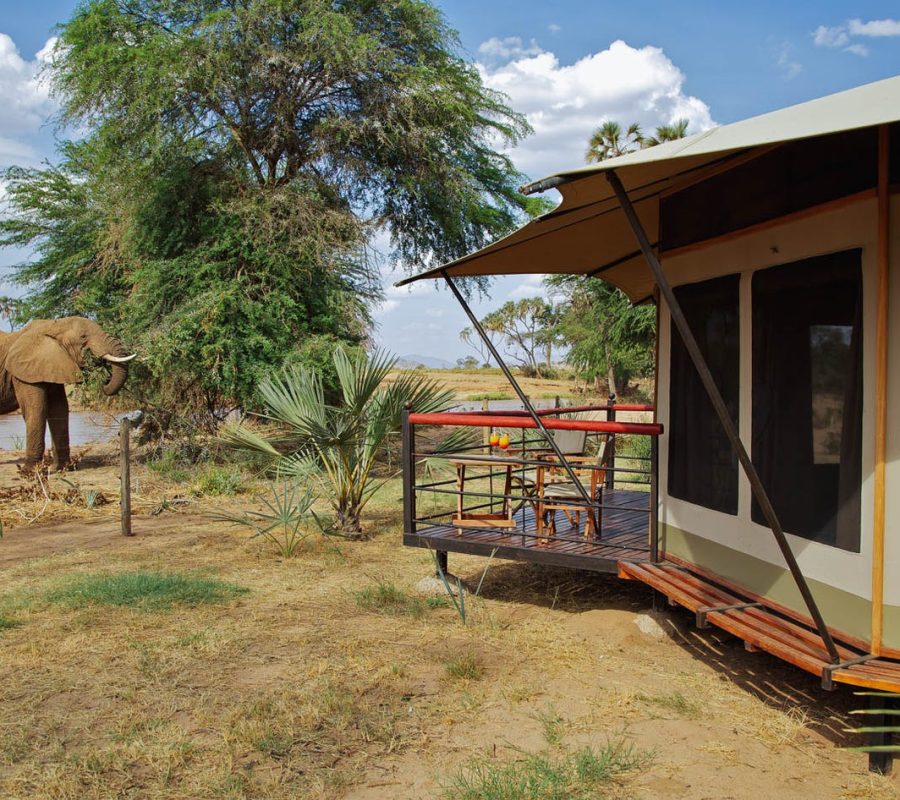 ashnil-camp-samburu-kenya-timbuktu-travel