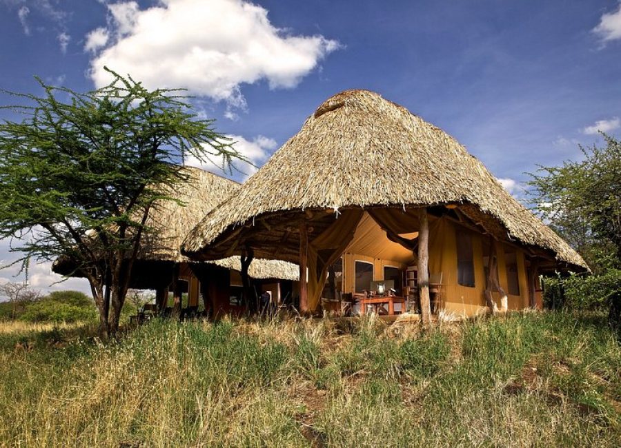 elewana-lewa-safari-camp-2