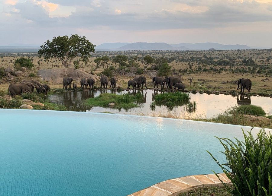 four-seasons-safari-lodge