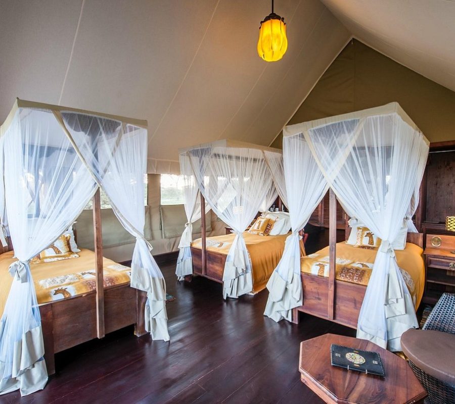 lake-ndutu-luxury-tented (2)