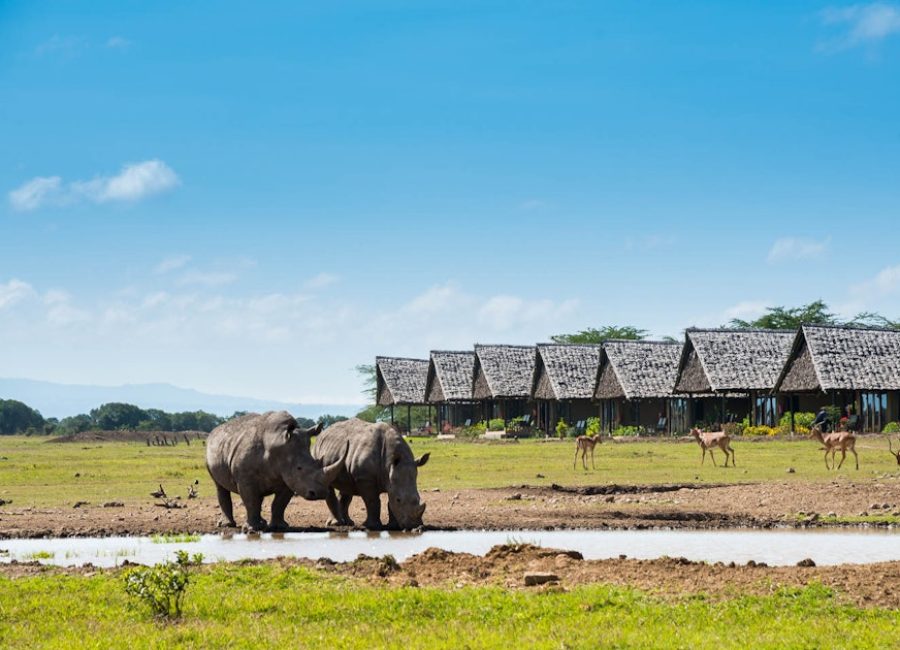 sweetwater-serena-camp-mount-kenya-timbuktu-travel